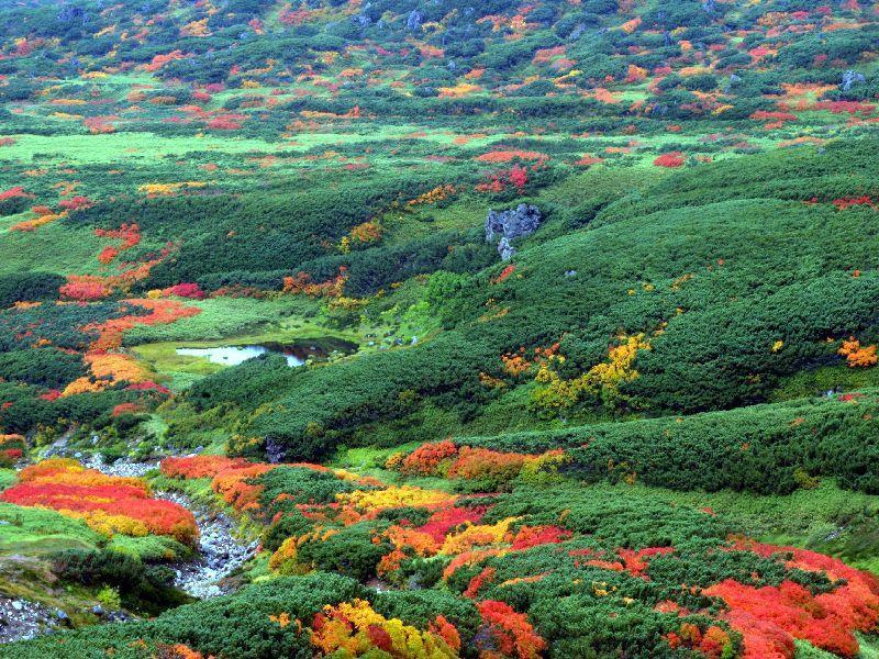 Asahidake Yumoto Yukomanso Higashikawa Экстерьер фото