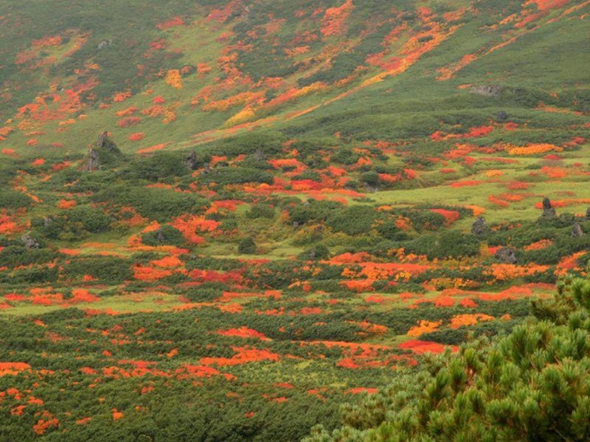 Asahidake Yumoto Yukomanso Higashikawa Экстерьер фото
